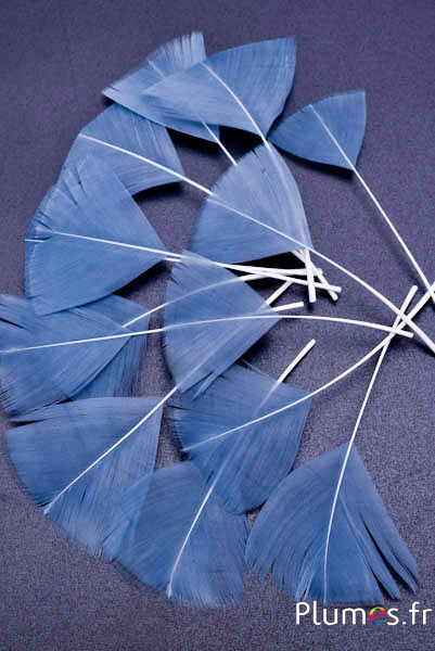 Pétales en plumes - 6-8 x 3-4 cm - fer